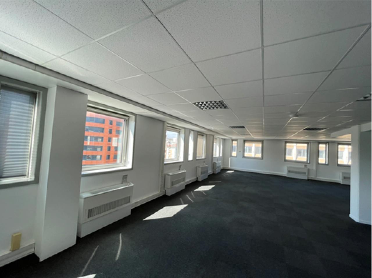 Bureau Lyon 560m² Location bureau Lyon Rhône OLBUR2311709 7